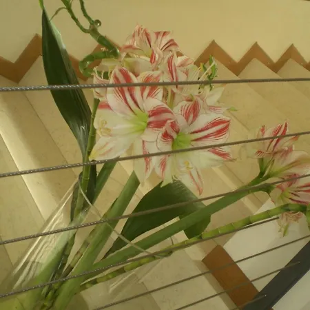 Hotel C25 Ponzano Veneto